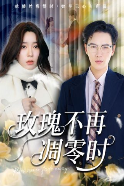 玫瑰不再凋零时（73集）金珊&随嘉兴