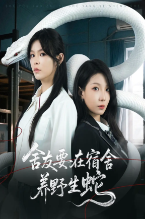 舍友要在宿舍养野生蛇（60集）朱晓彤&邓诗韵