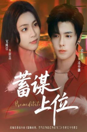 蓄谋上位（74集）宋彧佳