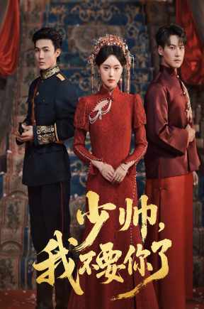 少帅，我不要你了&砚休九十九&乞丐老婆助我登临至高&芳华乱浮生（60集）