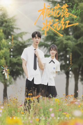 栀子花落状元红（50集）时康&杨帆