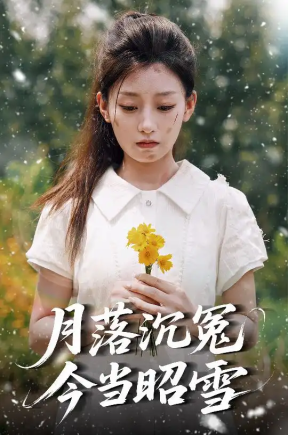月落沉冤今当昭雪（60集）魏浩然＆王倩