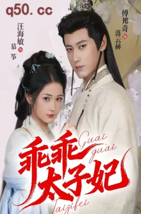 乖乖太子妃    共64集【抢先版】