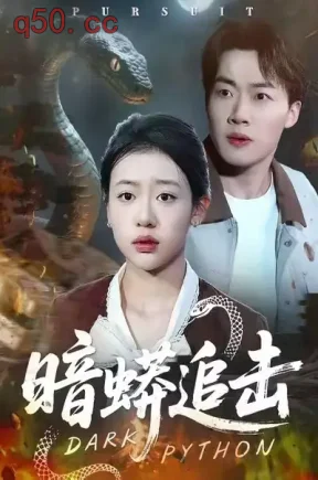 暗蟒追击（35集）王盈心＆赵文硕