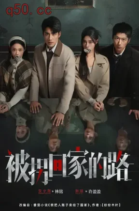 被拐回家的路(60集)韩琪&张宇翔