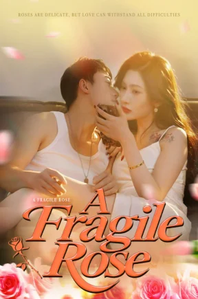 A Fragile Rose（30集+合集）
