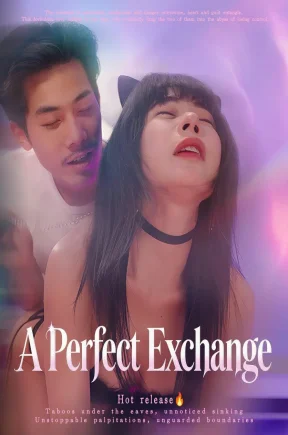 完美交换（35集+合集）