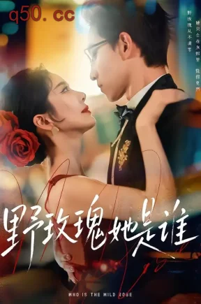 野玫瑰她是谁（84集）李叙洲＆王小橙