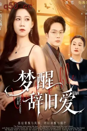 梦醒辞旧爱（55集）陈七七＆关一夫