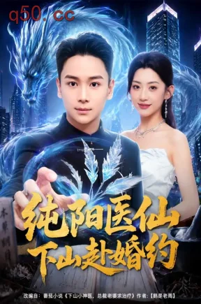 纯阳医仙下山赴婚约(80集)范高坡&王冰星