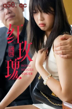 红玫瑰：诱饵（91集）王艺潼&陶家明&战洋