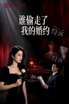 谁偷走了我的婚约（25集）栾舒羽&樊建华