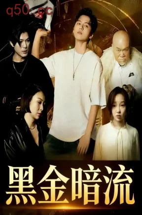 黑金风暴&黑金暗流（45集）沈瞳伽&庄思敏
