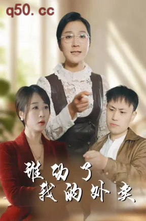 谁动了我的外卖(35集)朱茗华&厉翔宇&柴小柴