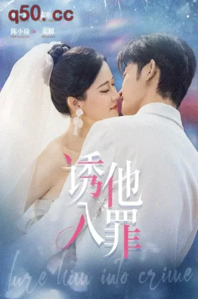 诱他入罪(38集)陈小瑜&叶一宸