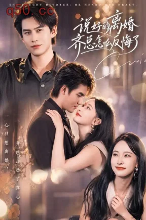 说好的离婚齐总怎么反悔了（40集）尹晨攒&宗沐一&王嘉豪