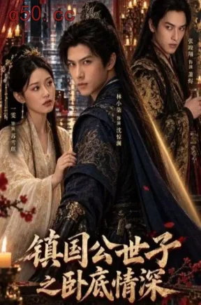 镇国公世子之卧底情深（31集）林小柒&一雯&黄嘉洛