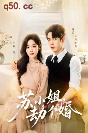 苏小姐，劫个婚（80集）陆元&何连飞
