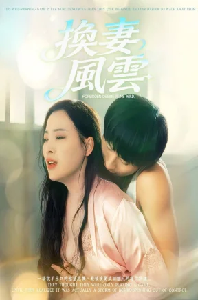 换妻风云（30集）分集+合集