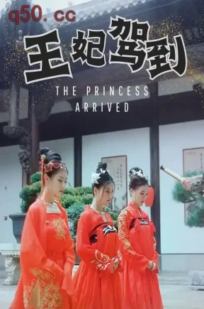 王妃驾到（36集）陈卉君&黄佳俊