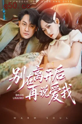 别在离开后再说爱我（50集）罗雯&陈文川&崔瑾