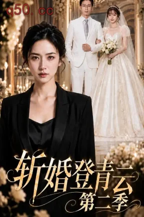 斩婚登青云第二季(223集)