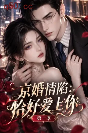 京婚情陷：恰好爱上你第一季（231集）