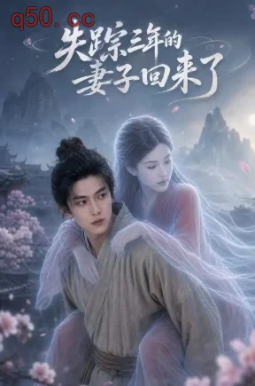 失踪三年的妻子回来了（48集）