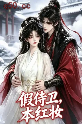 假侍卫，本红妆（59集）