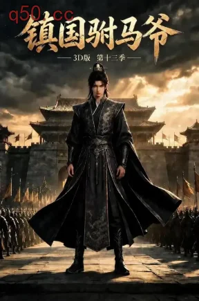 镇国驸马爷3D版第十三季（240集）