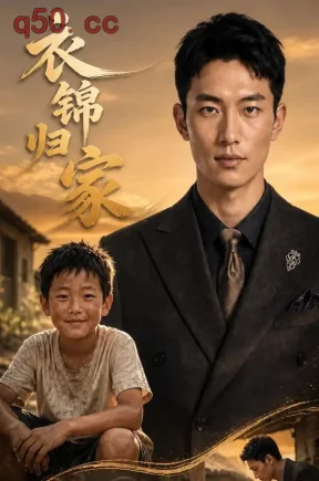 衣锦归家（46集）