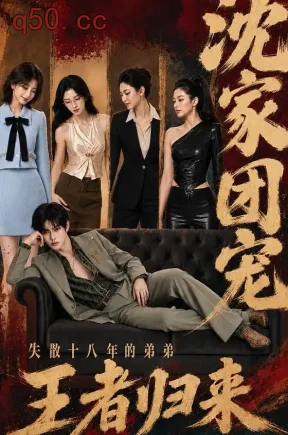 沈家团宠:失散十八年的弟弟王者归来(40集)
