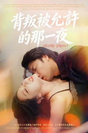 背叛被允许的那一夜（30集）分集+合集